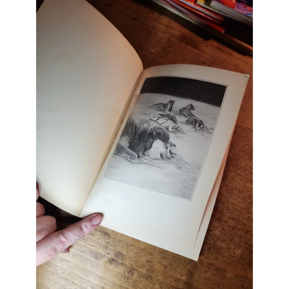 Dog Adventure Books, Set Of 2.  ''The Storm